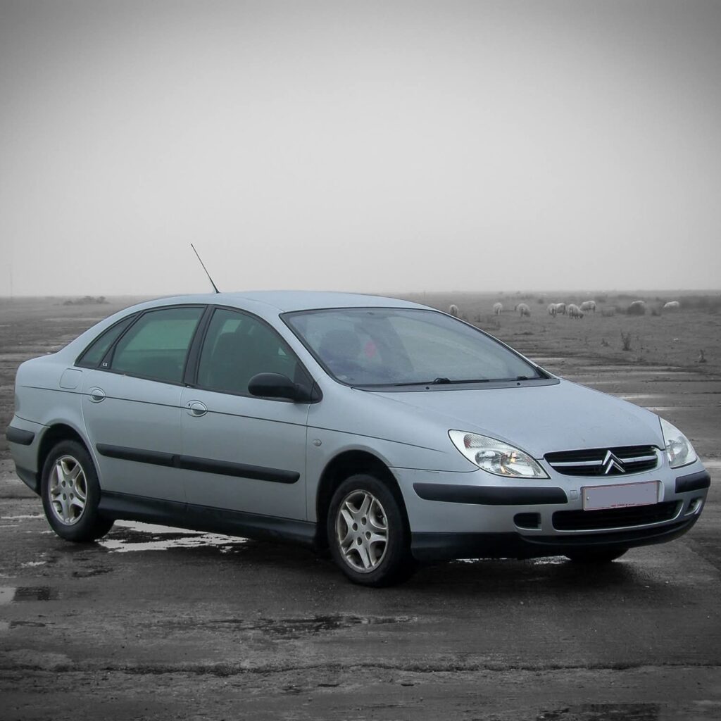 fb img 1751823183015(1)(1)